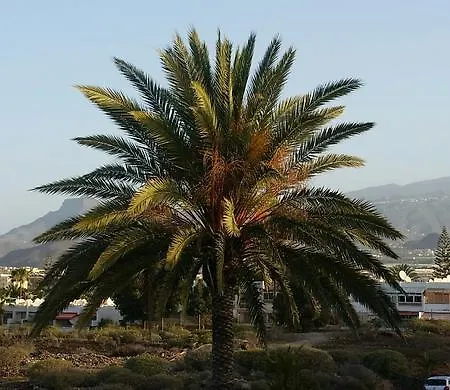 Don Jose Mountain View Apartment